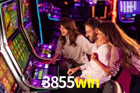 Interface Premium 3855win